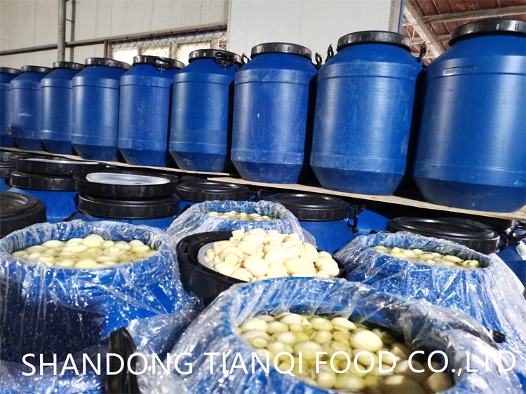 Drum packing whole white mushroom