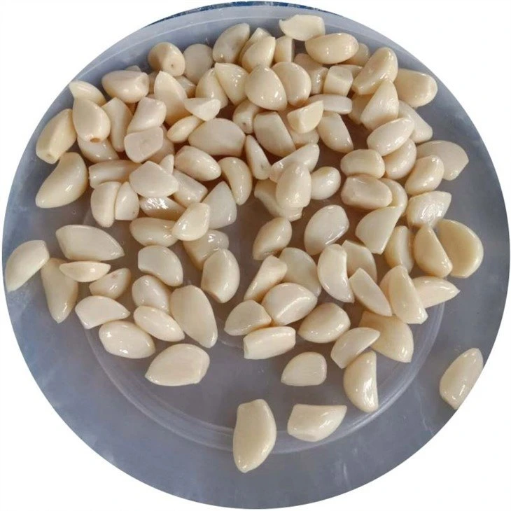 Normal white garlic in brine in barrel