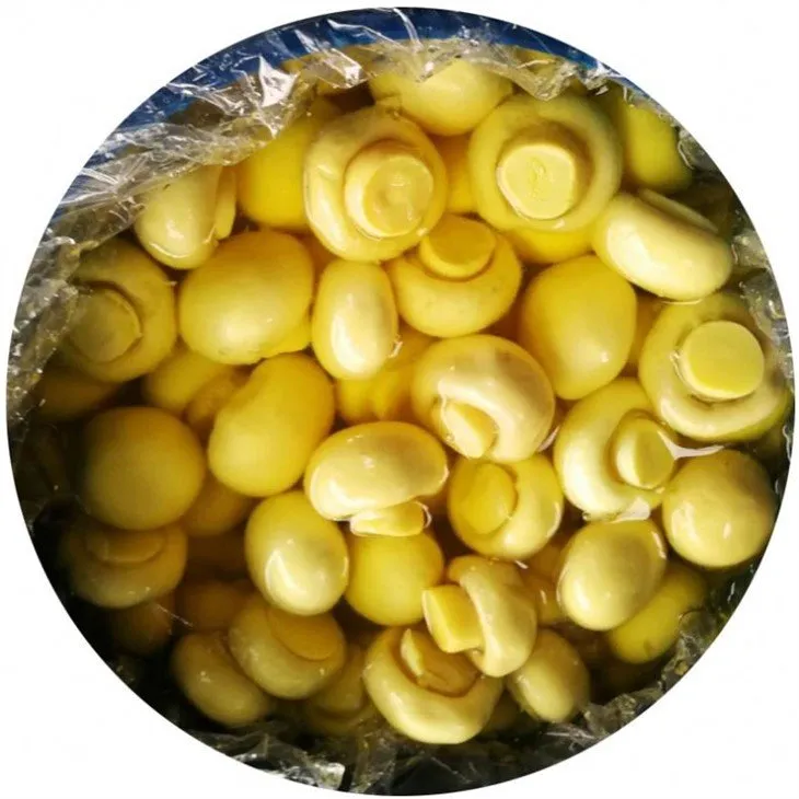 Whole brined mushroom in plastic drums