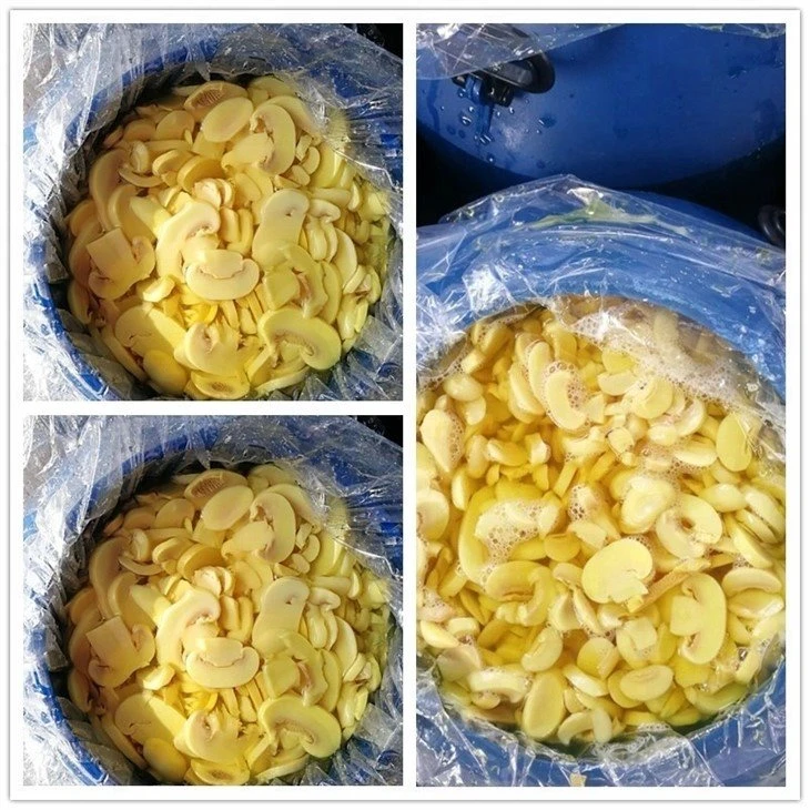 Hot selling Sliced champignon mushroom in salted water