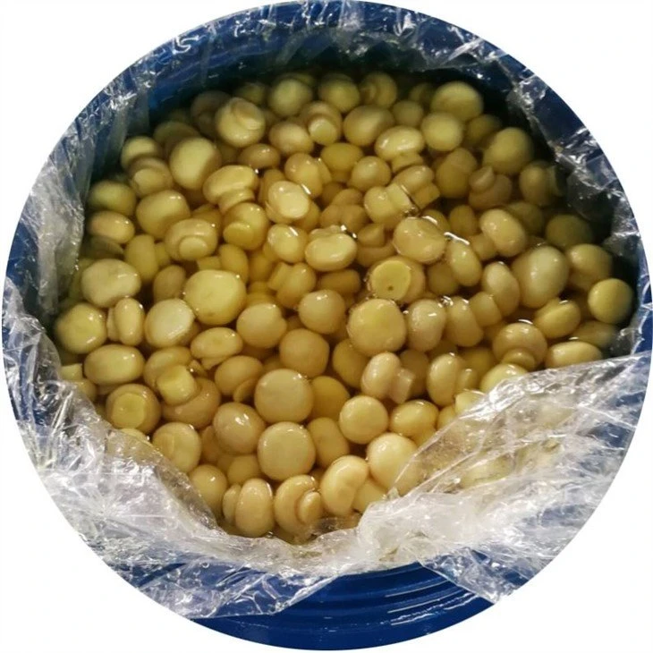 New Crop brined mushroom in drums