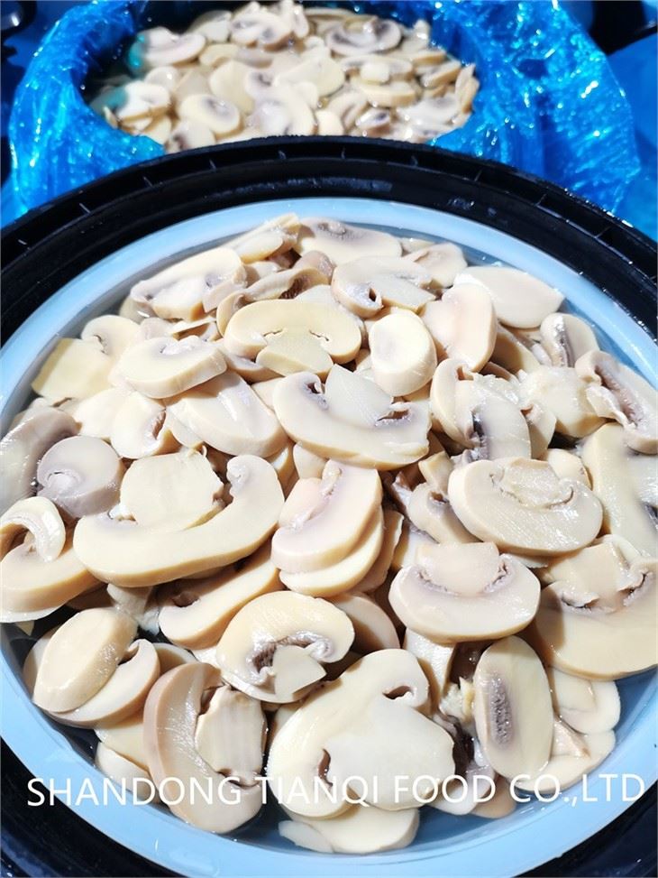 Brined sliced white mushroom preserved in brine in drums