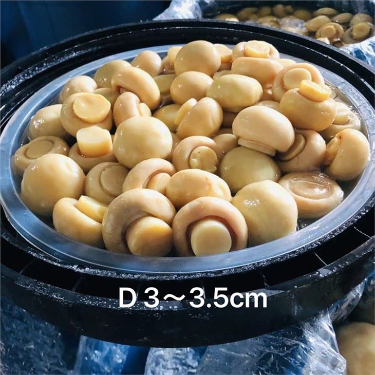 Pickled white mushroom in drums