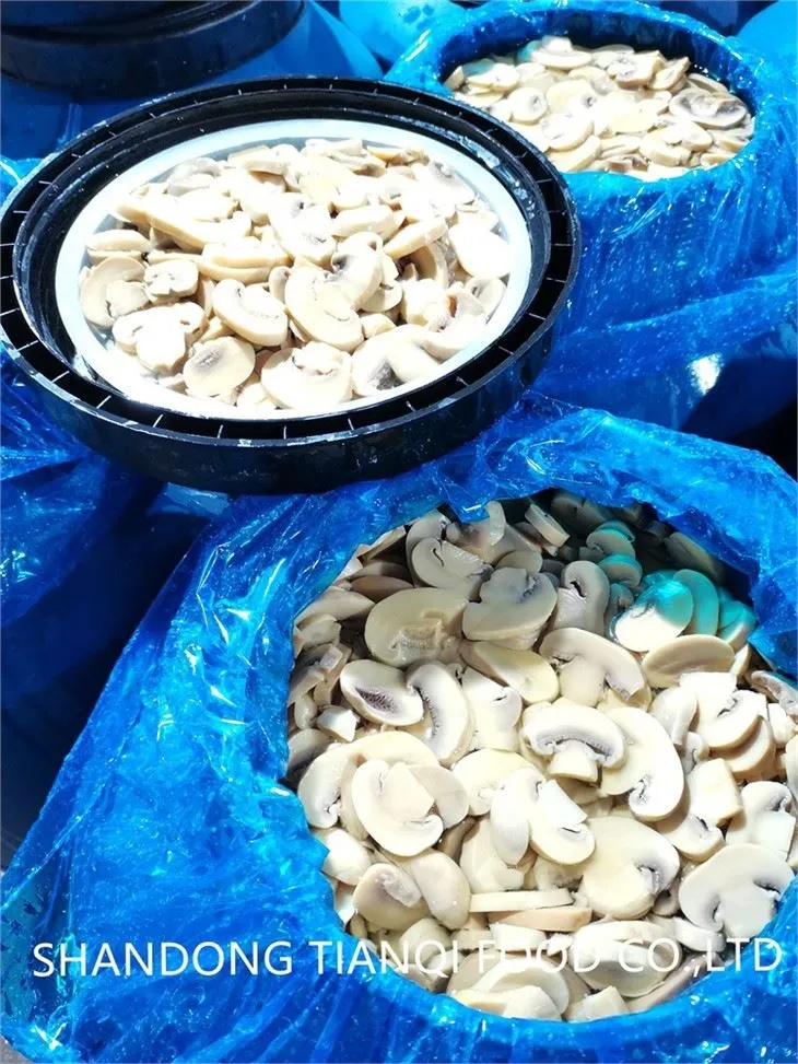 Button Mushroom in brine in drums