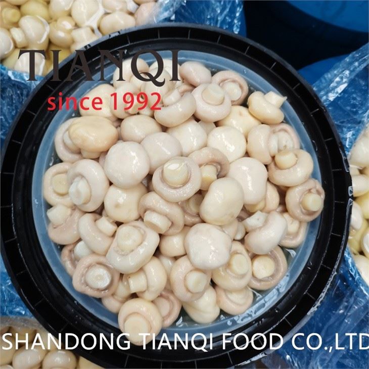 Whole white button mushroom in brine in drums