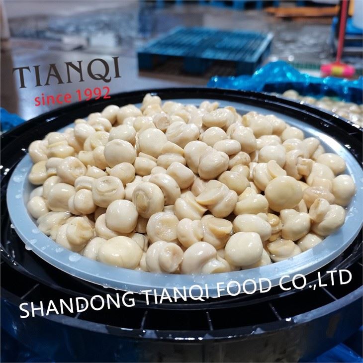 Fresh White Mushroom in Vinegar in Plastic Drums