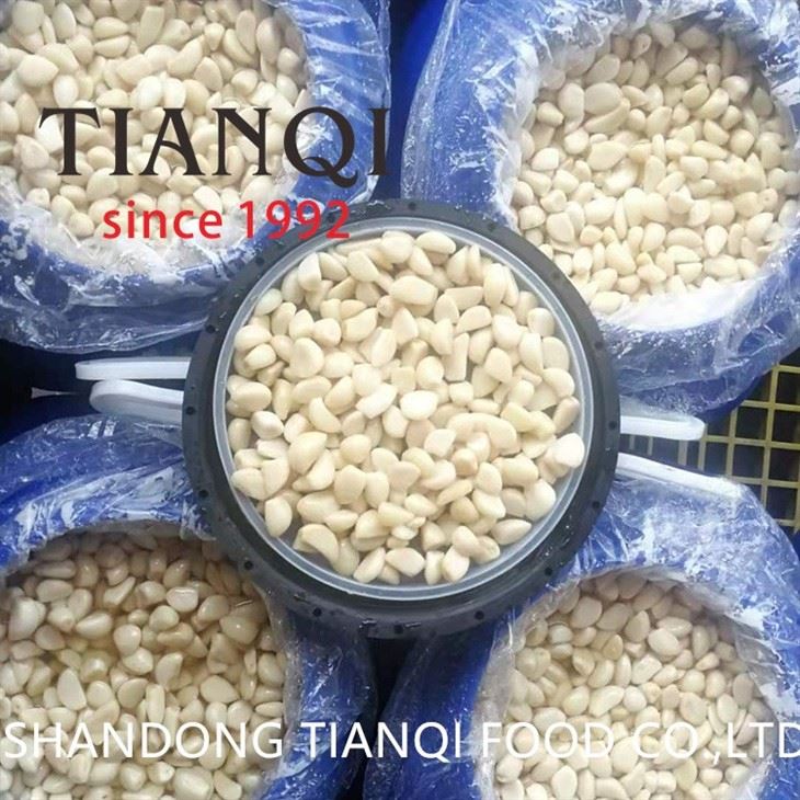 Pickled white garlic in brine in drums