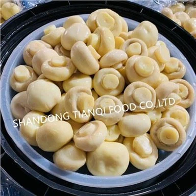 Ciuperci buton proaspete în tobe